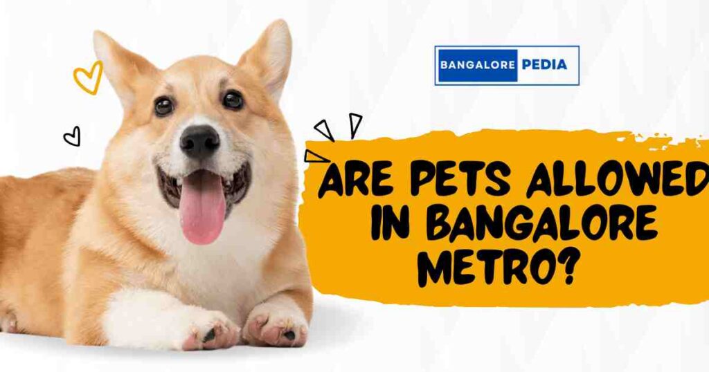 Are Pets Allowed in Bangalore Metro?