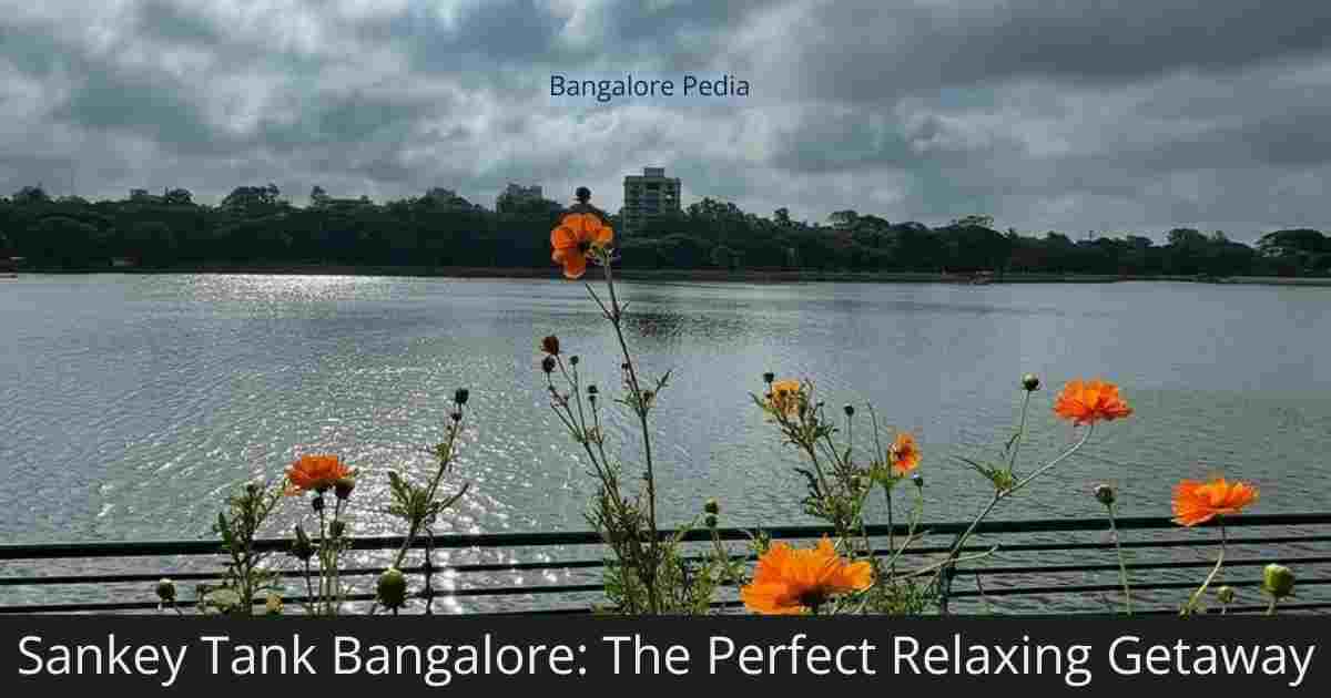 Sankey Tank Bangalore The Perfect Relaxing Getaway